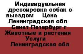 Индивидуальная дрессировка собак с выездом  › Цена ­ 700 - Ленинградская обл., Санкт-Петербург г. Животные и растения » Услуги   . Ленинградская обл.